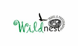 Wild Nest Travel & Photography
