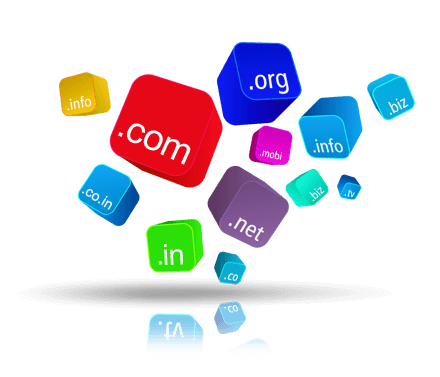 Domain Name & Web Hosting Services